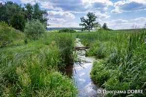 Thumb %d0%97%d0%b0%d0%bf%d0%be%d0%b2%d1%96%d0%b4%d0%bd%d0%b0 %d0%b7%d0%be%d0%bd%d0%b0 %d1%83%d1%80%d0%be%d1%87%d0%b8%d1%89%d0%b5  %d0%91%d0%be%d1%87%d0%ba%d0%b8   %d1%81%d0%b5%d0%bb%d0%be %d0%9a%d0%b0%d0%bb%d0%b8%d0%bd%d1%96%d0%b2%d0%ba%d0%b0  %d0%94%d0%bc%d0%b8%d1%82%d1%80%d1%96%d0%b2%d1%81%d1%8c%d0%ba%d0%b0 %d0%b3%d1%80%d0%be%d0%bc%d0%b0%d0%b4%d0%b0  9 