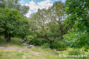 Thumb %d0%97%d0%b0%d0%bf%d0%be%d0%b2%d1%96%d0%b4%d0%bd%d0%b0 %d0%b7%d0%be%d0%bd%d0%b0 %d1%83%d1%80%d0%be%d1%87%d0%b8%d1%89%d0%b5  %d0%91%d0%be%d1%87%d0%ba%d0%b8   %d1%81%d0%b5%d0%bb%d0%be %d0%9a%d0%b0%d0%bb%d0%b8%d0%bd%d1%96%d0%b2%d0%ba%d0%b0  %d0%94%d0%bc%d0%b8%d1%82%d1%80%d1%96%d0%b2%d1%81%d1%8c%d0%ba%d0%b0 %d0%b3%d1%80%d0%be%d0%bc%d0%b0%d0%b4%d0%b0  11 