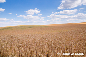 Thumb %d0%9a%d1%80%d0%b0%d1%94%d0%b2%d0%b8%d0%b4%d0%b8 %d0%94%d0%bc%d0%b8%d1%82%d1%80%d1%96%d0%b2%d1%81%d1%8c%d0%ba%d0%be%d1%97 %d0%b3%d1%80%d0%be%d0%bc%d0%b0%d0%b4%d0%b8  18 