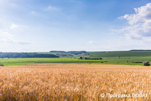 Thumb %d0%9a%d1%80%d0%b0%d1%94%d0%b2%d0%b8%d0%b4%d0%b8 %d0%94%d0%bc%d0%b8%d1%82%d1%80%d1%96%d0%b2%d1%81%d1%8c%d0%ba%d0%be%d1%97 %d0%b3%d1%80%d0%be%d0%bc%d0%b0%d0%b4%d0%b8  41 