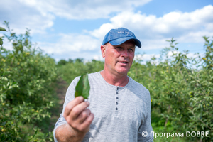 Thumb %d0%9e%d0%bb%d0%b5%d0%b3 %d0%9e%d0%b2%d1%80%d0%b0%d1%81 %d1%82%d0%b0 %d0%b9%d0%be%d0%b3%d0%be %d1%8f%d0%b1%d0%bb%d1%83%d0%bd%d0%b5%d0%b2%d1%96 %d1%81%d0%b0%d0%b4%d0%b8  %d1%81%d0%b5%d0%bb%d0%be %d0%a6%d0%b8%d0%b1%d1%83%d0%bb%d0%b5%d0%b2%d0%b5  %d0%94%d0%bc%d0%b8%d1%82%d1%80%d1%96%d0%b2%d1%81%d1%8c%d0%ba%d0%b0 %d0%b3%d1%80%d0%be%d0%bc%d0%b0%d0%b4%d0%b0  8 