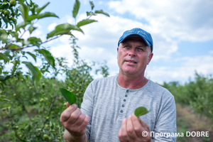 Thumb %d0%9e%d0%bb%d0%b5%d0%b3 %d0%9e%d0%b2%d1%80%d0%b0%d1%81 %d1%82%d0%b0 %d0%b9%d0%be%d0%b3%d0%be %d1%8f%d0%b1%d0%bb%d1%83%d0%bd%d0%b5%d0%b2%d1%96 %d1%81%d0%b0%d0%b4%d0%b8  %d1%81%d0%b5%d0%bb%d0%be %d0%a6%d0%b8%d0%b1%d1%83%d0%bb%d0%b5%d0%b2%d0%b5  %d0%94%d0%bc%d0%b8%d1%82%d1%80%d1%96%d0%b2%d1%81%d1%8c%d0%ba%d0%b0 %d0%b3%d1%80%d0%be%d0%bc%d0%b0%d0%b4%d0%b0  9 