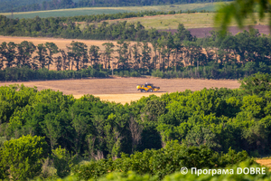 Фермерське господарство «Росток», село Цибулеве, Дмитрівська громада