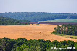 Фермерське господарство «Росток», село Цибулеве, Дмитрівська громада