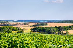Фермерське господарство «Росток», село Цибулеве, Дмитрівська громада