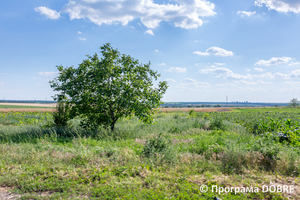 Thumb %d0%9a%d1%80%d0%b0%d1%94%d0%b2%d0%b8%d0%b4%d0%b8 %d0%9f%d0%be%d0%bc%d1%96%d1%87%d0%bd%d1%8f%d0%bd%d1%81%d1%8c%d0%ba%d0%be%d1%97 %d0%b3%d1%80%d0%be%d0%bc%d0%b0%d0%b4%d0%b8  2 