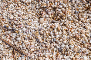 Зона відпочинку в селі Софіївка, створена за підтримки Програми DOBRE, Станіславська громада