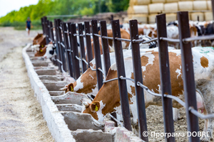 Thumb %d0%a4%d0%b5%d1%80%d0%bc%d0%b0 %d0%a1%d0%a2%d0%9e%d0%92  %d0%9f%d0%b5%d1%80%d1%88%d0%b5 %d0%a2%d1%80%d0%b0%d0%b2%d0%bd%d1%8f   %d1%81%d0%b5%d0%bb%d0%be %d0%a1%d0%b2%d1%96%d1%82%d0%bb%d0%b8%d1%87%d0%bd%d0%b5  %d0%97%d0%be%d0%bb%d0%be%d1%87%d1%96%d0%b2%d1%81%d1%8c%d0%ba%d0%b0 %d0%b3%d1%80%d0%be%d0%bc%d0%b0%d0%b4%d0%b0  2 