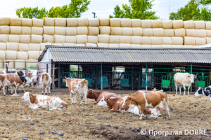 Thumb %d0%a4%d0%b5%d1%80%d0%bc%d0%b0 %d0%a1%d0%a2%d0%9e%d0%92  %d0%9f%d0%b5%d1%80%d1%88%d0%b5 %d0%a2%d1%80%d0%b0%d0%b2%d0%bd%d1%8f   %d1%81%d0%b5%d0%bb%d0%be %d0%a1%d0%b2%d1%96%d1%82%d0%bb%d0%b8%d1%87%d0%bd%d0%b5  %d0%97%d0%be%d0%bb%d0%be%d1%87%d1%96%d0%b2%d1%81%d1%8c%d0%ba%d0%b0 %d0%b3%d1%80%d0%be%d0%bc%d0%b0%d0%b4%d0%b0  9 