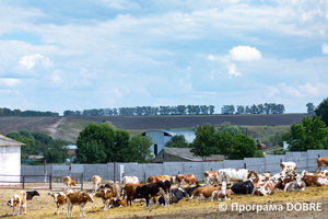 Thumb %d0%a4%d0%b5%d1%80%d0%bc%d0%b0 %d0%a1%d0%a2%d0%9e%d0%92  %d0%9f%d0%b5%d1%80%d1%88%d0%b5 %d0%a2%d1%80%d0%b0%d0%b2%d0%bd%d1%8f   %d1%81%d0%b5%d0%bb%d0%be %d0%a1%d0%b2%d1%96%d1%82%d0%bb%d0%b8%d1%87%d0%bd%d0%b5  %d0%97%d0%be%d0%bb%d0%be%d1%87%d1%96%d0%b2%d1%81%d1%8c%d0%ba%d0%b0 %d0%b3%d1%80%d0%be%d0%bc%d0%b0%d0%b4%d0%b0  10 