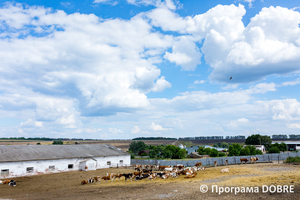 Thumb %d0%a4%d0%b5%d1%80%d0%bc%d0%b0 %d0%a1%d0%a2%d0%9e%d0%92  %d0%9f%d0%b5%d1%80%d1%88%d0%b5 %d0%a2%d1%80%d0%b0%d0%b2%d0%bd%d1%8f   %d1%81%d0%b5%d0%bb%d0%be %d0%a1%d0%b2%d1%96%d1%82%d0%bb%d0%b8%d1%87%d0%bd%d0%b5  %d0%97%d0%be%d0%bb%d0%be%d1%87%d1%96%d0%b2%d1%81%d1%8c%d0%ba%d0%b0 %d0%b3%d1%80%d0%be%d0%bc%d0%b0%d0%b4%d0%b0  18 