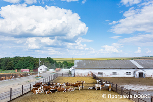 Thumb %d0%a4%d0%b5%d1%80%d0%bc%d0%b0 %d0%a1%d0%a2%d0%9e%d0%92  %d0%9f%d0%b5%d1%80%d1%88%d0%b5 %d0%a2%d1%80%d0%b0%d0%b2%d0%bd%d1%8f   %d1%81%d0%b5%d0%bb%d0%be %d0%a1%d0%b2%d1%96%d1%82%d0%bb%d0%b8%d1%87%d0%bd%d0%b5  %d0%97%d0%be%d0%bb%d0%be%d1%87%d1%96%d0%b2%d1%81%d1%8c%d0%ba%d0%b0 %d0%b3%d1%80%d0%be%d0%bc%d0%b0%d0%b4%d0%b0  19 