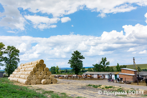 Ферма СТОВ «Перше Травня», село Світличне, Золочівська громада