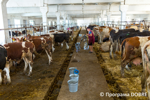 Ферма СТОВ «Перше Травня», село Світличне, Золочівська громада